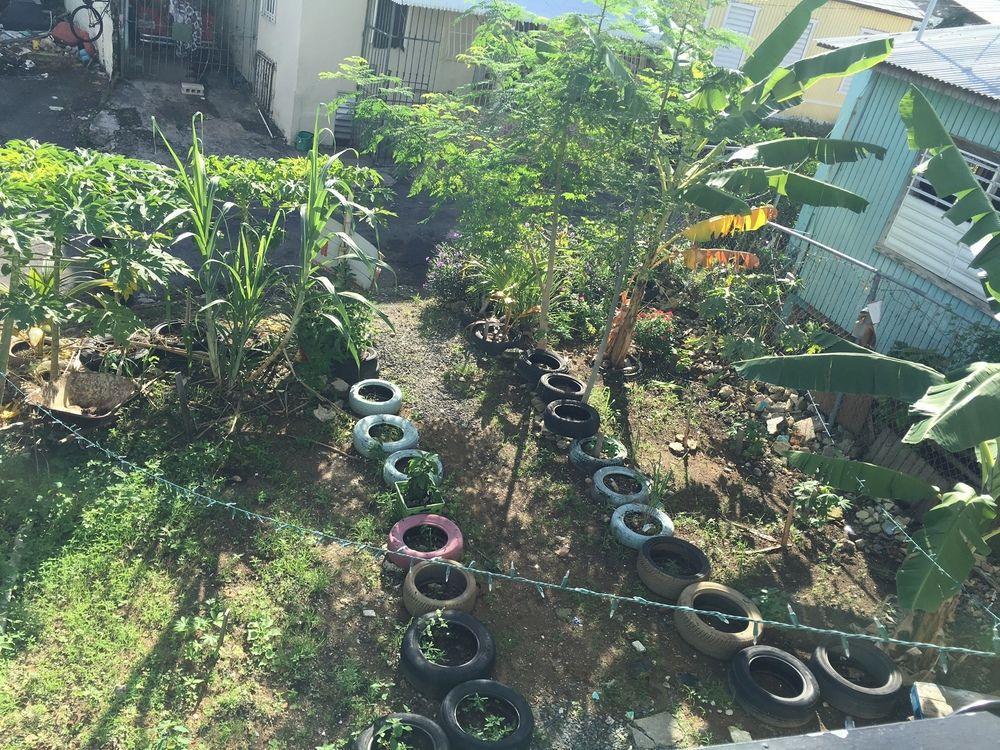 Auberge de jeunesse Casa Santurce à San Juan Extérieur photo